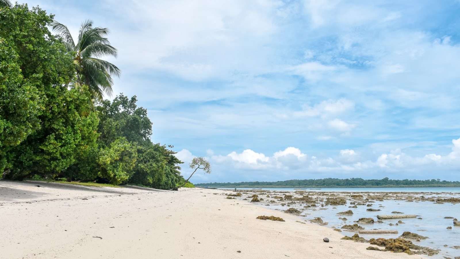Exotic Andaman II