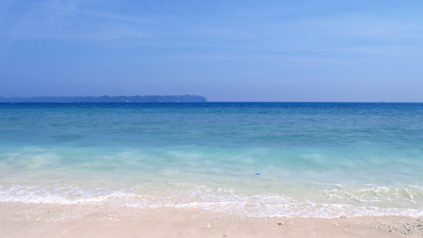 Exotic Andaman II