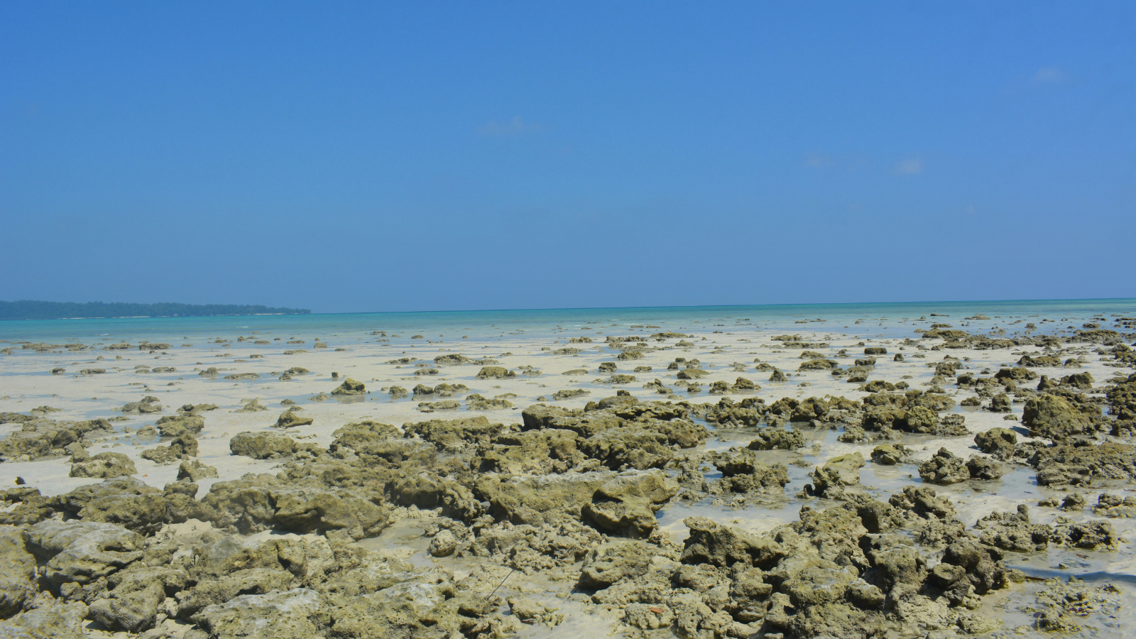 Adventure Andaman I