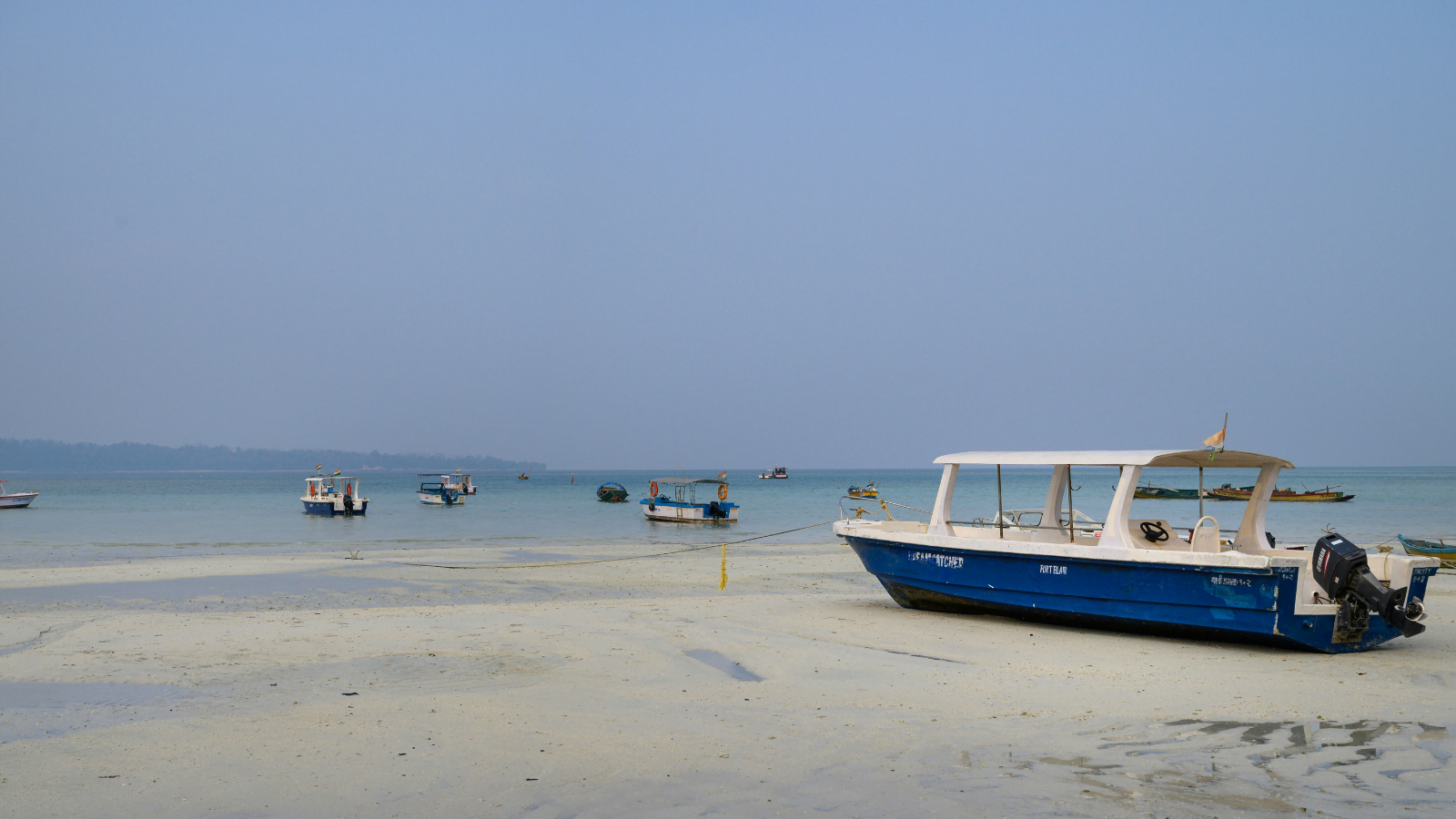 Exotic Andaman I