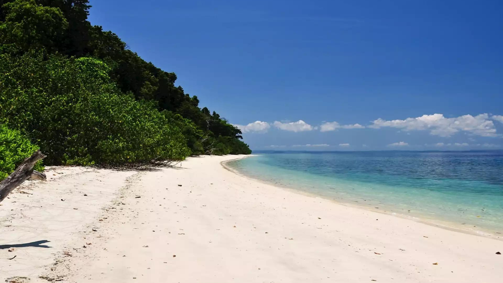 Exotic Andaman II