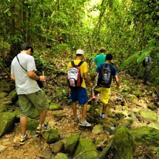 trekking